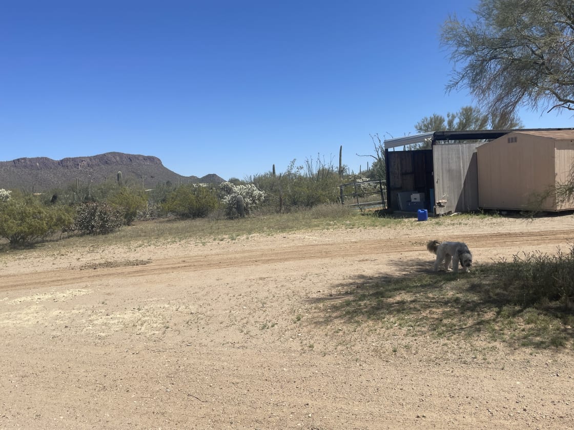 Your spot is to the left of the shed as you come in the back driveway. It is flat and level. The electrical outlet is outside the shed on the front corner and the mini fridge is inside. That’s Mocha in the shade. Smart dog! 