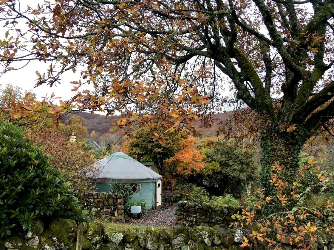 Garden Yurt in a hidden glen