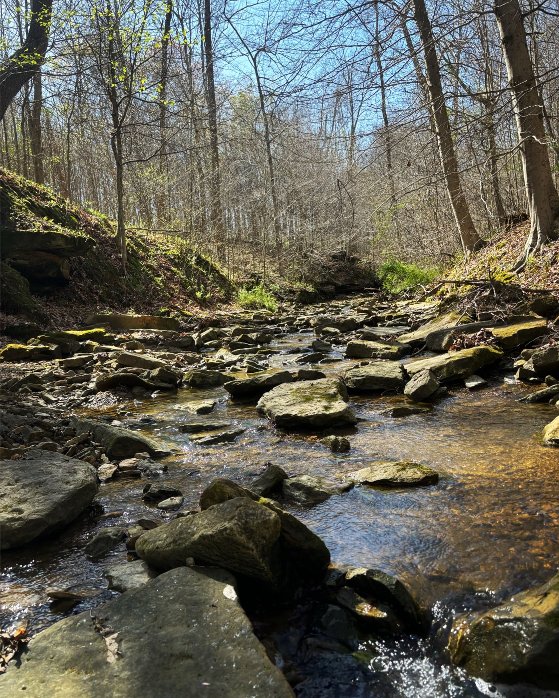 Picture of Jordan Creek, April 2024
