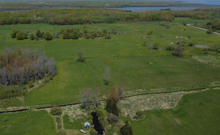Arial view of our pond, creek, back fields and neighbouring cattle pasture. The far body of water is Otter Lake. 