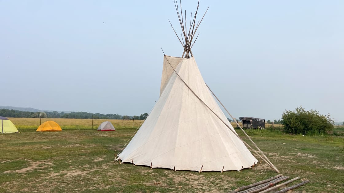 Wellknown Buffalo Historic Camp