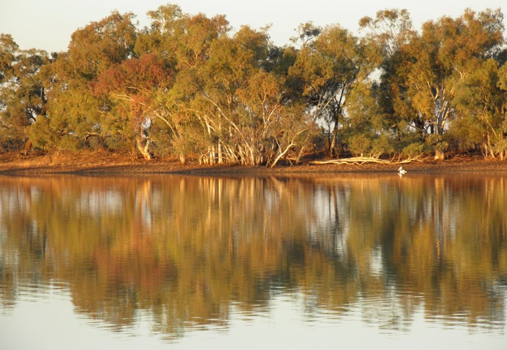 The Lake, Quilpie