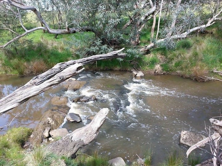 Our creek flows all year round