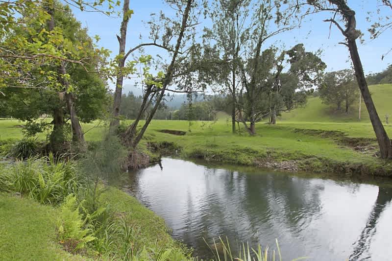 Creek Side Campsite