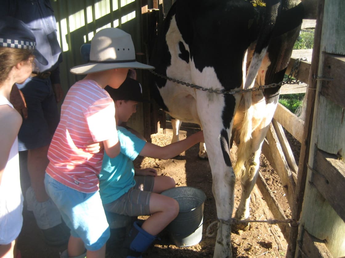 Learning to milk the cow