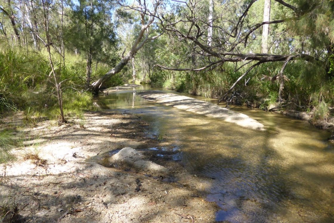 creek at site 1