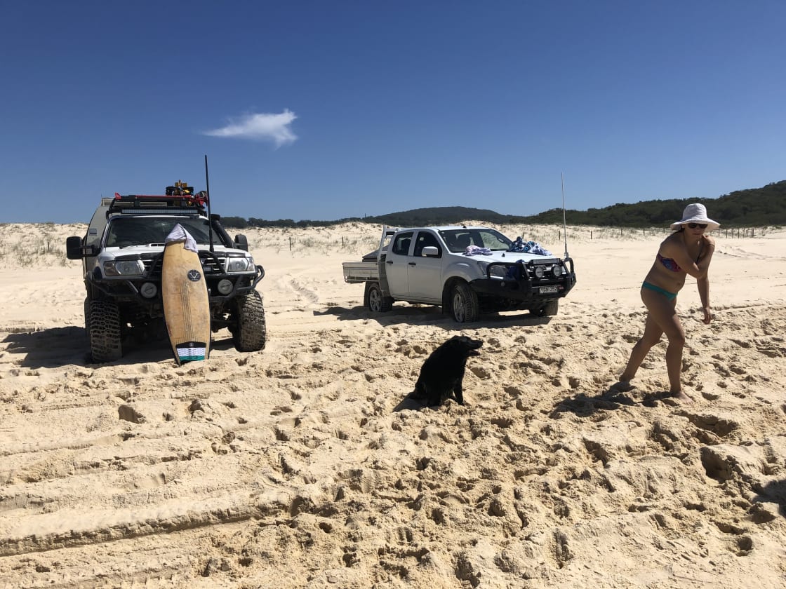 Puppies and 4WD at sandbar !