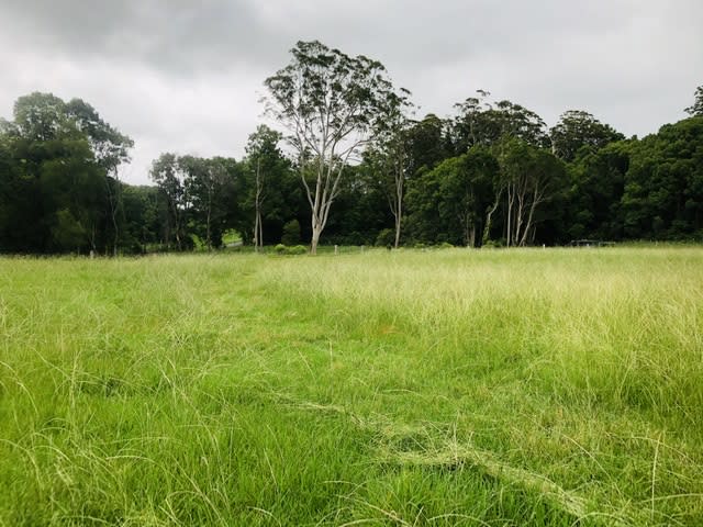Field in front of creek