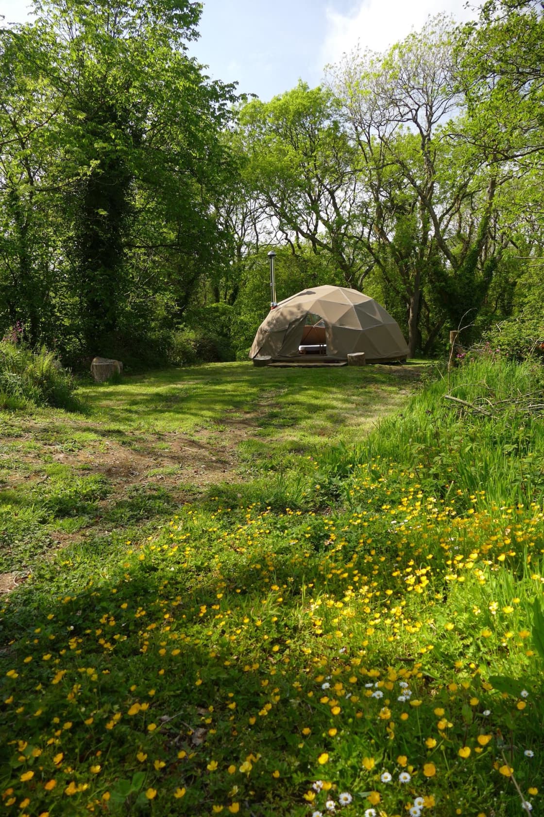 Preseli Glamping geodesic dome in Spring