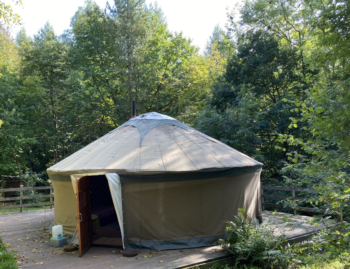 Foxglove Yurt located in its own private space in the heart of the wood.