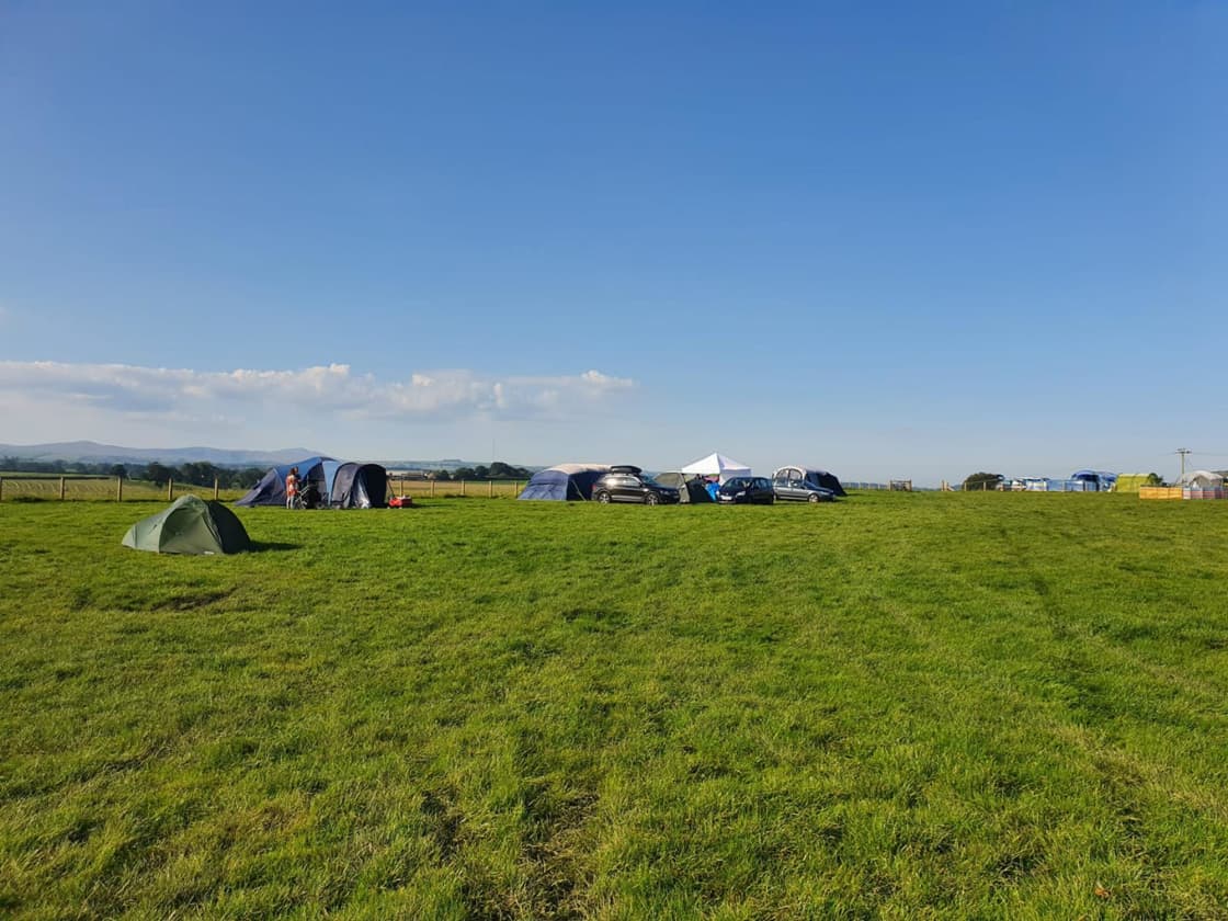 Electric hook up grass camping pitches