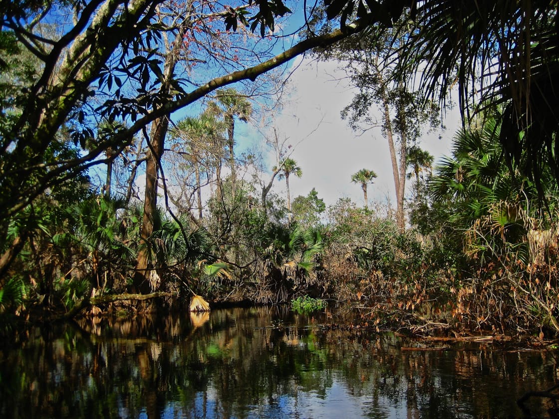 Juniper Springs Recreation Area and Campground