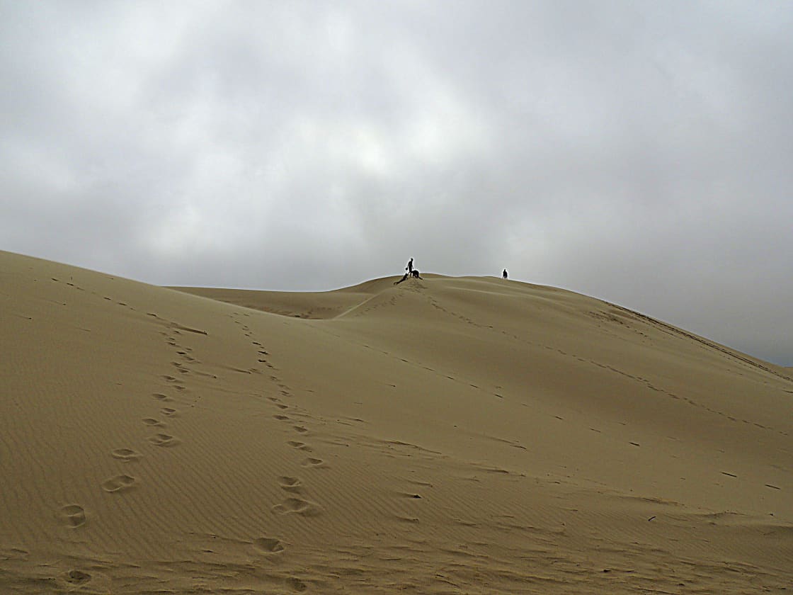 The wide open expanse of dunes stretch out for miles and miles from the campground. It's like being lost in the desert.
