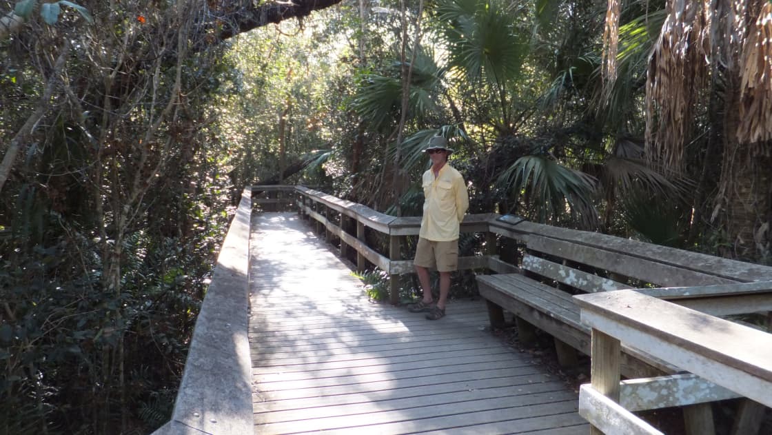 This is the Mahogany Hammock trail just off the main road to Flamingo. 