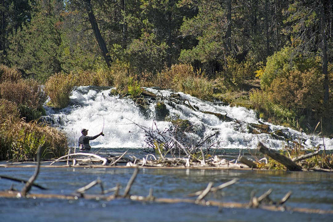 Fall River Falls is a great place for some fly fishing!