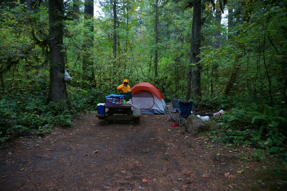 Paradise in Oregon Campground