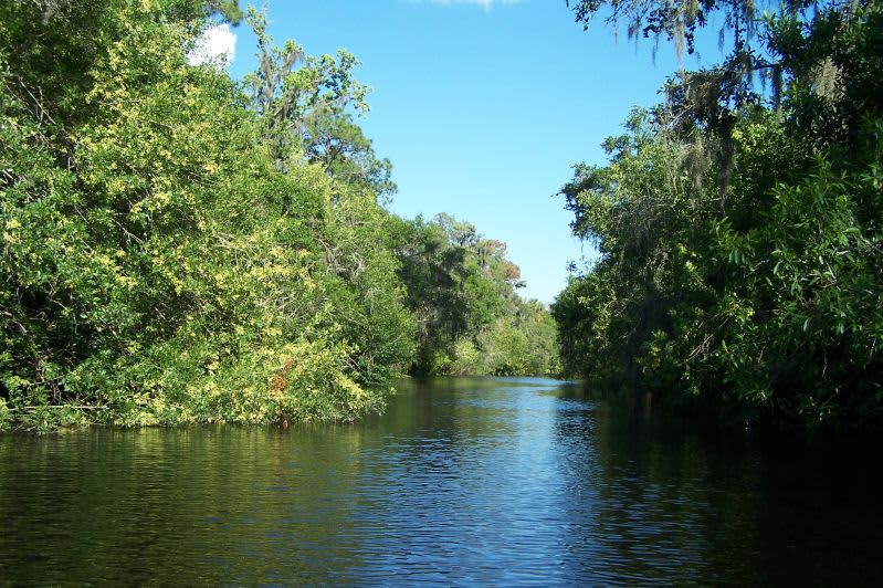 Little Manatee River Campground