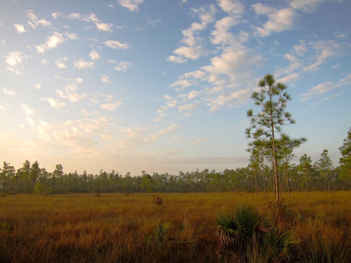A scenic view of Everglades National Park