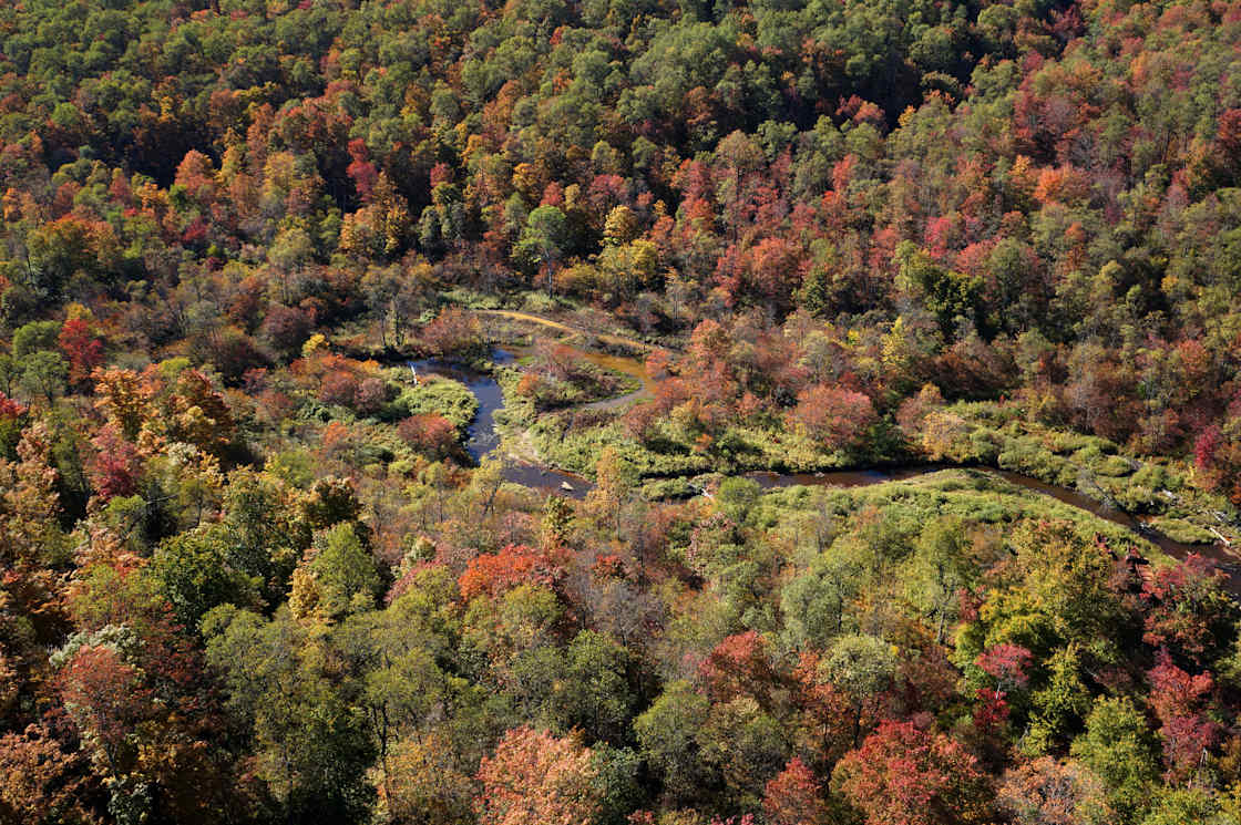 A scenic view of Kinzua Bridge State Park