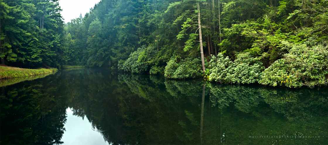 A scenic view of Hickory Run State Park