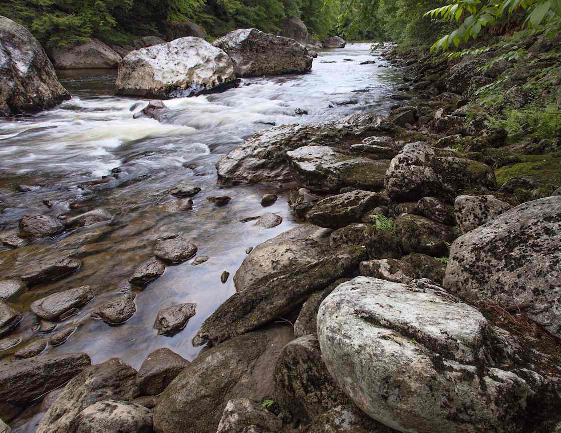 A scenic view of Jamaica State Park