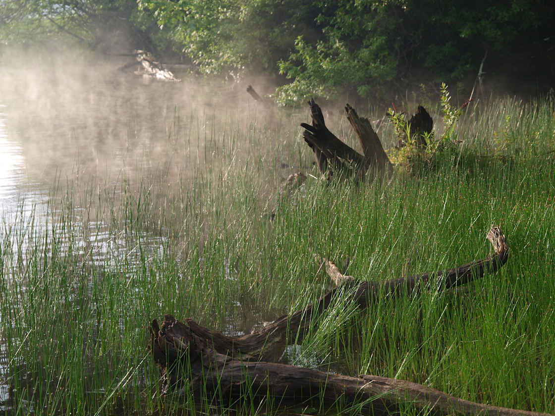 A scenic view of Woodford State Park