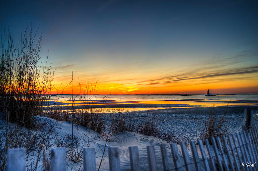 A scenic view of Cape Henlopen State Park