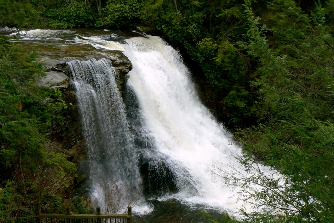 Swallow Falls Campground