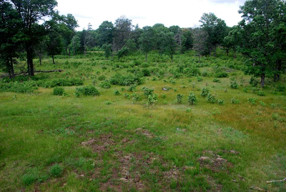 A scenic view of Buckhorn State Park