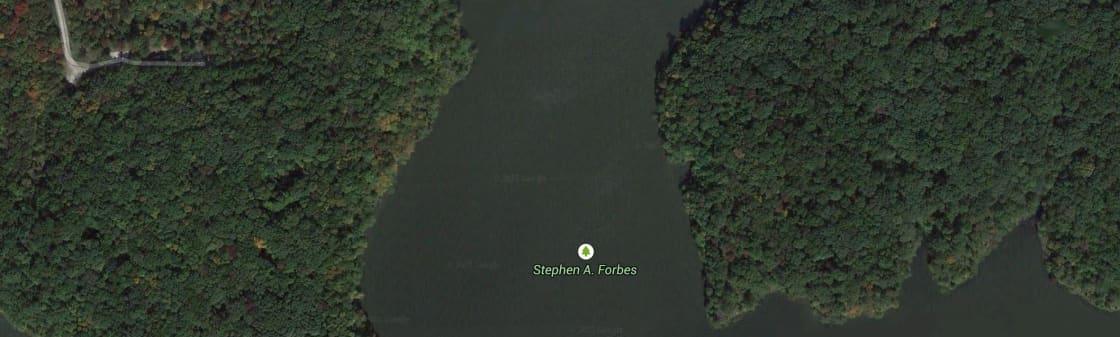 Stephen A. Forbes Campground