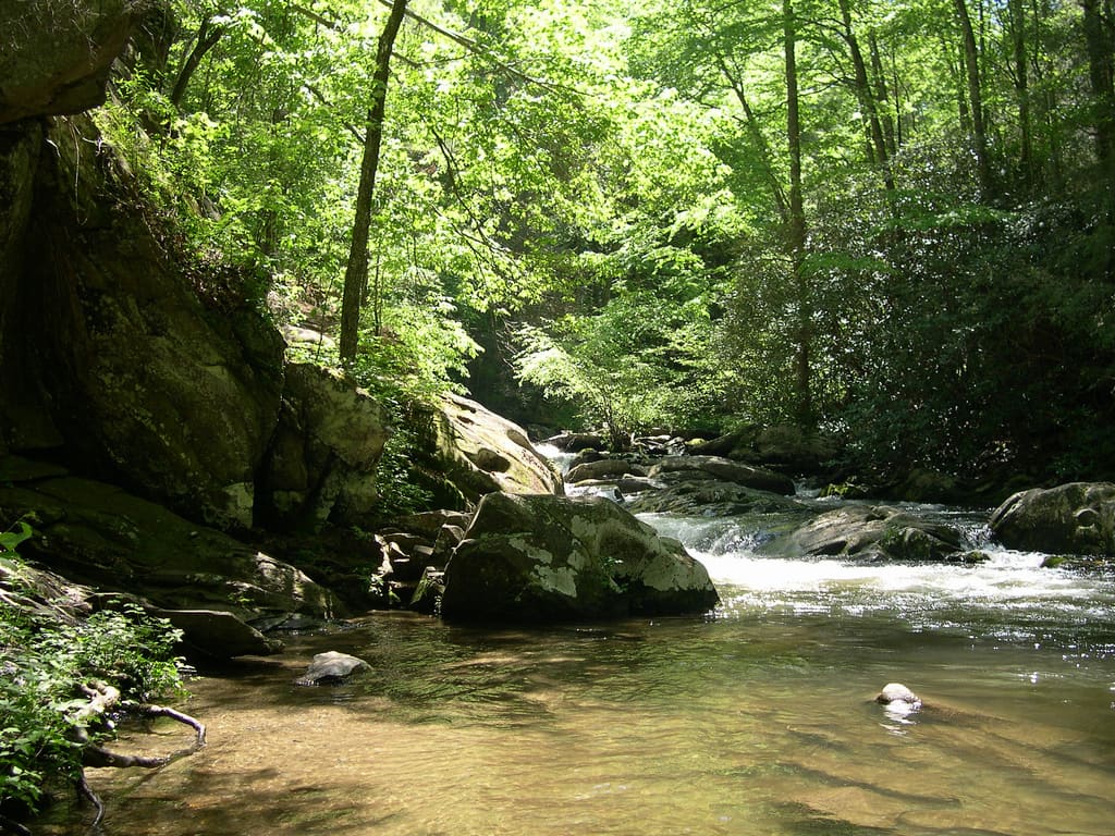 Rock Creek Recreation Area and Campground