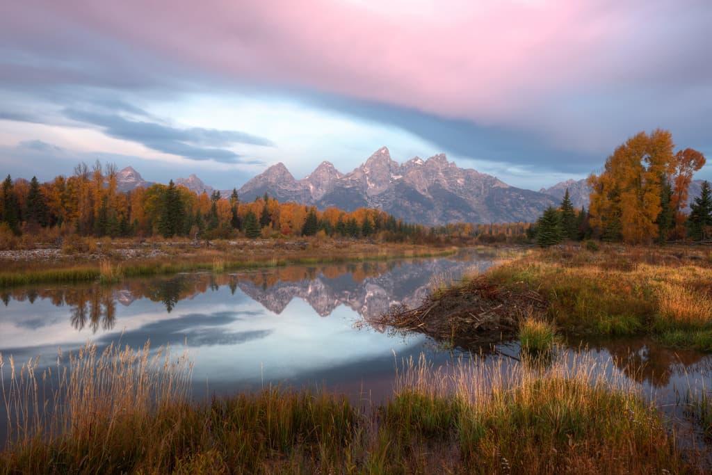 A scenic view of Grand Teton National Park