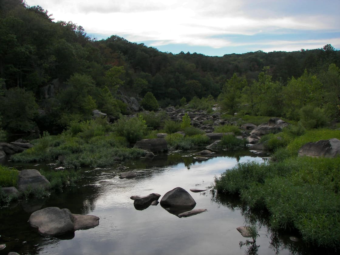 Paddy Creek Wilderness