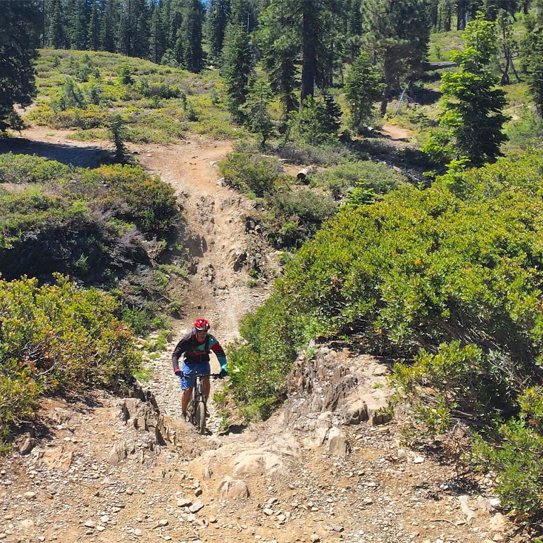 Nearby mountain biking - check out Downieville if camping at Ramshorn!