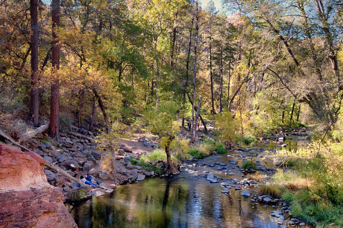 The campsite runs right alongside this beautiful creek. Head south past the last site and you will find this killer swimming hole. Go on jump in - you know you want to!