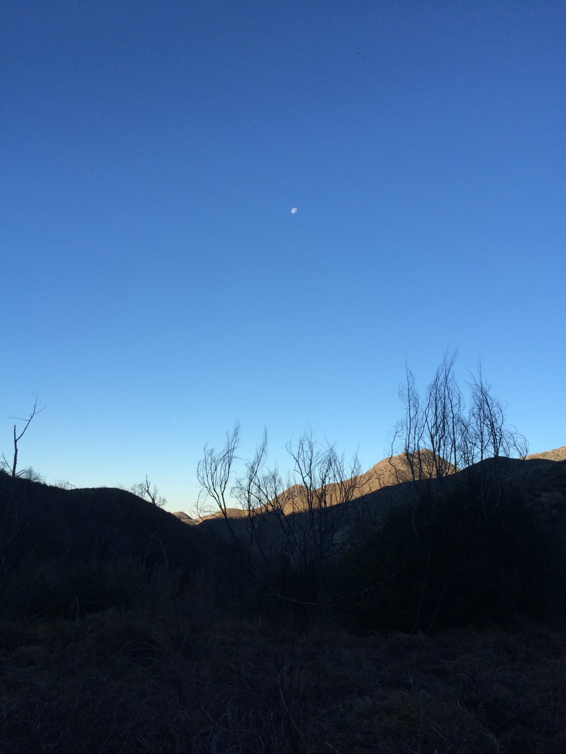 I really like HipCamp's campaign "finding yourself outside."(Great Video HipCamp!) That is my favorite part about camping/hiking, especially waking up in the morning. Here is a photo of the moon greeting me on my cold morning at Tom Lucas. 