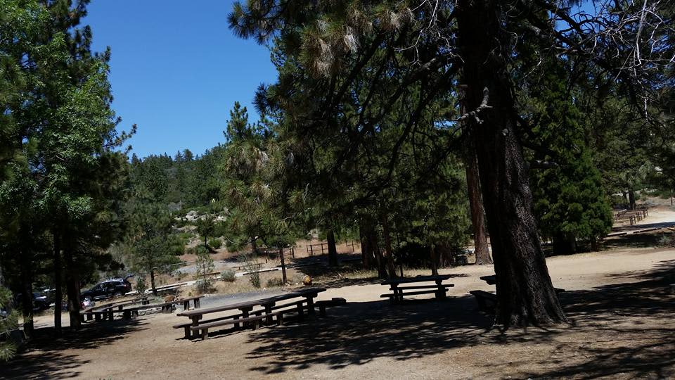 Lots of picnic tables but very little shade.