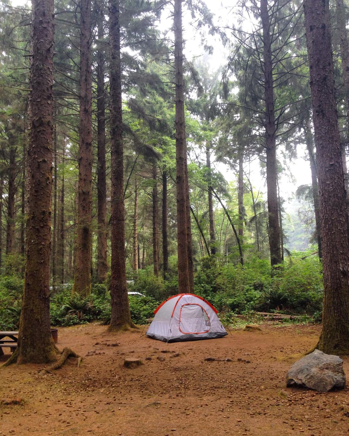 Abalone Campground is definitely the best campground at this park. Huge towering pine trees! No redwoods but it's got that deep forest feel.