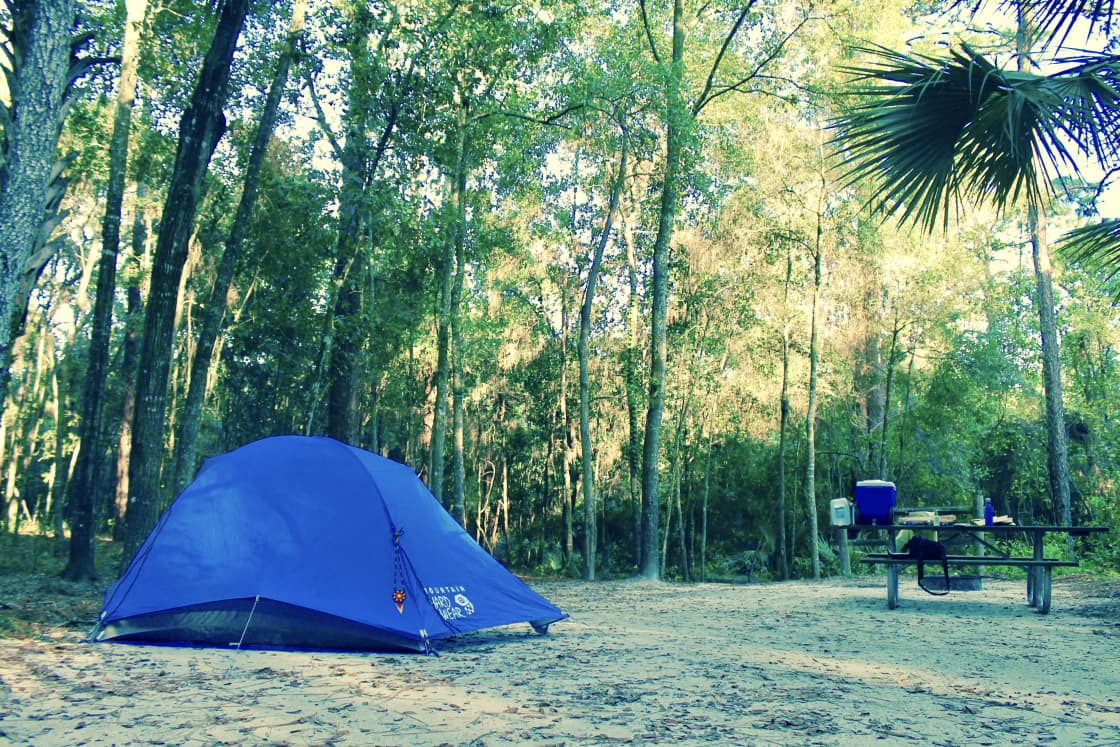Wekiwa Springs Campground