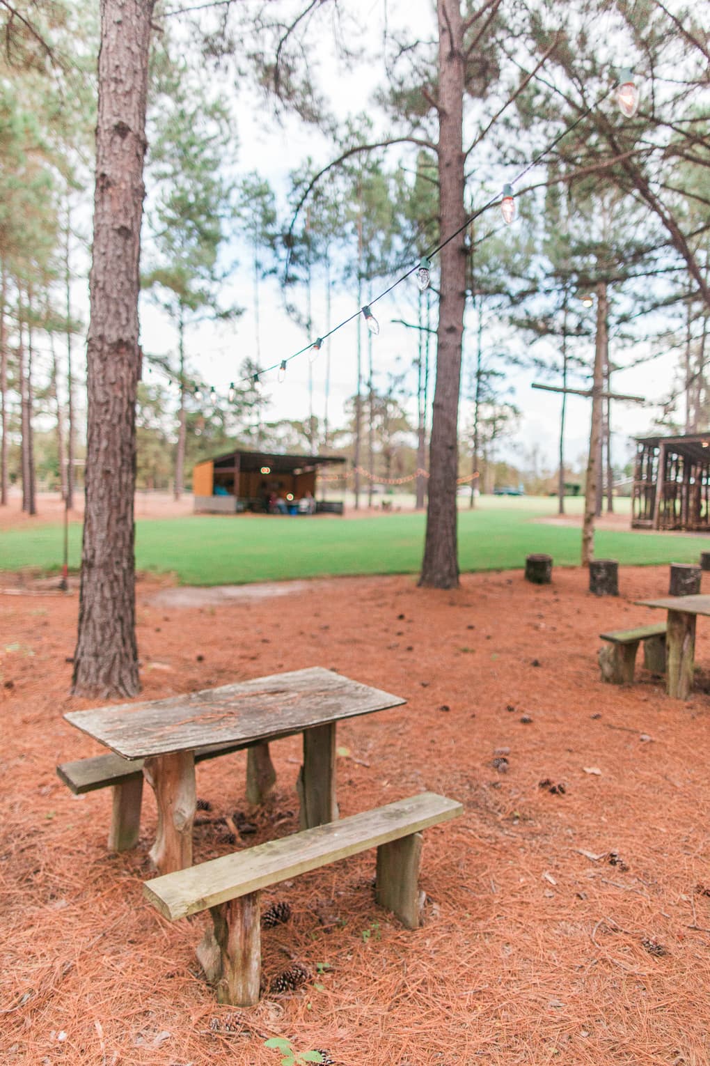 Home-made picnic tables sprinkled throughout the pine forest for use of anyone staying on the property. That building in the background is the community kitchen/hangout area.