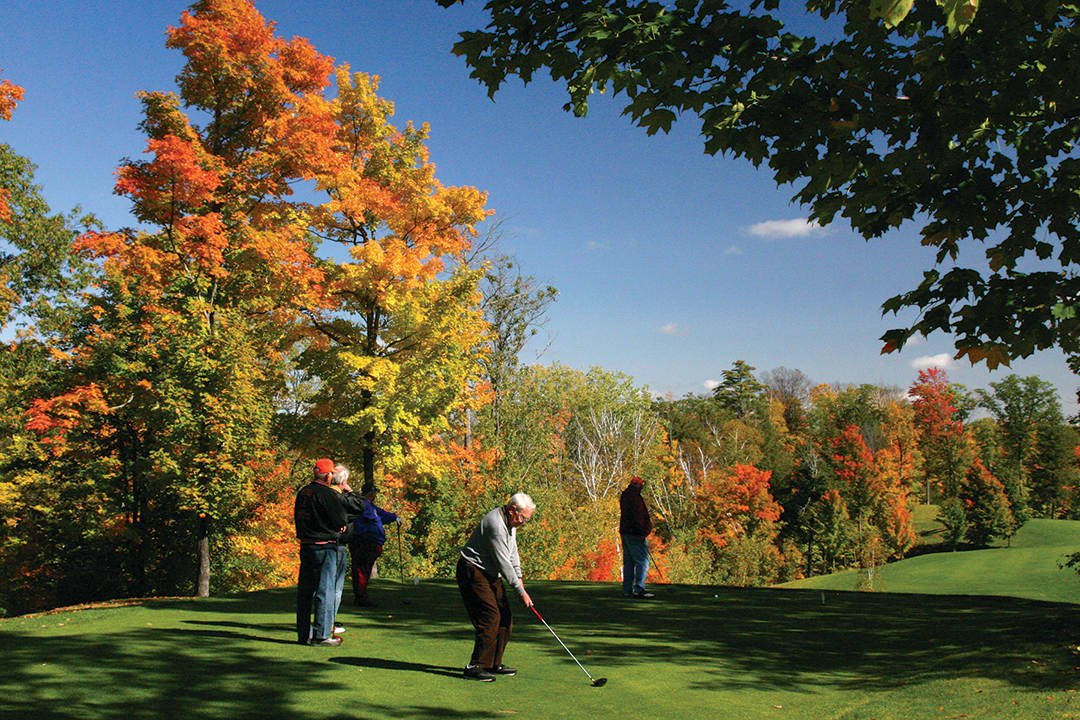 18 hole Forest Ridges Golf Course is located nearby.  