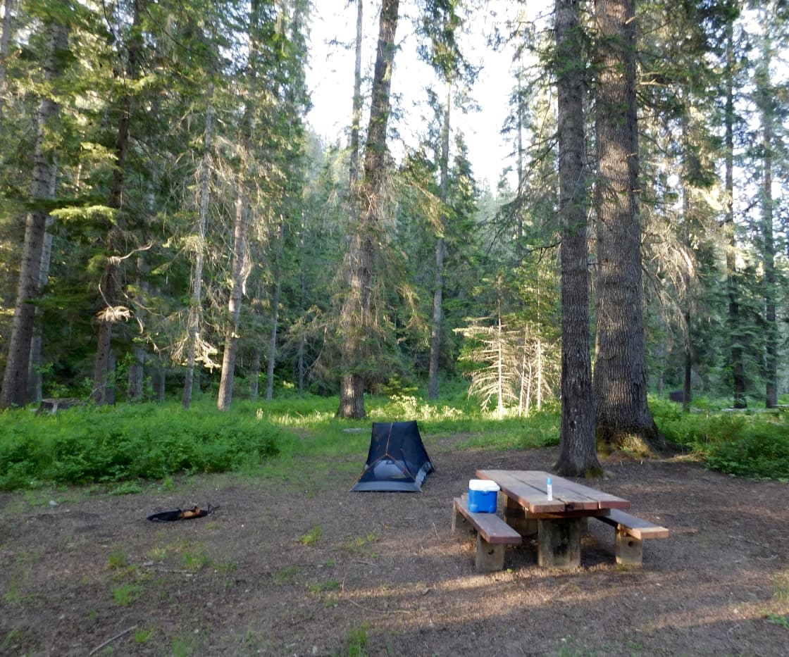 Huge campsite - tiny tent