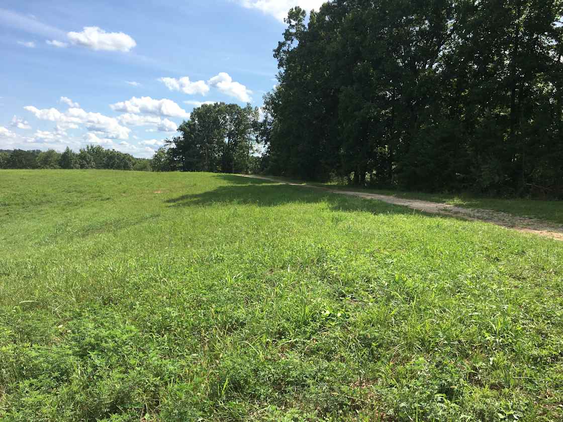 Hillbilly Haven Hipcamp in Ripley, West Virginia