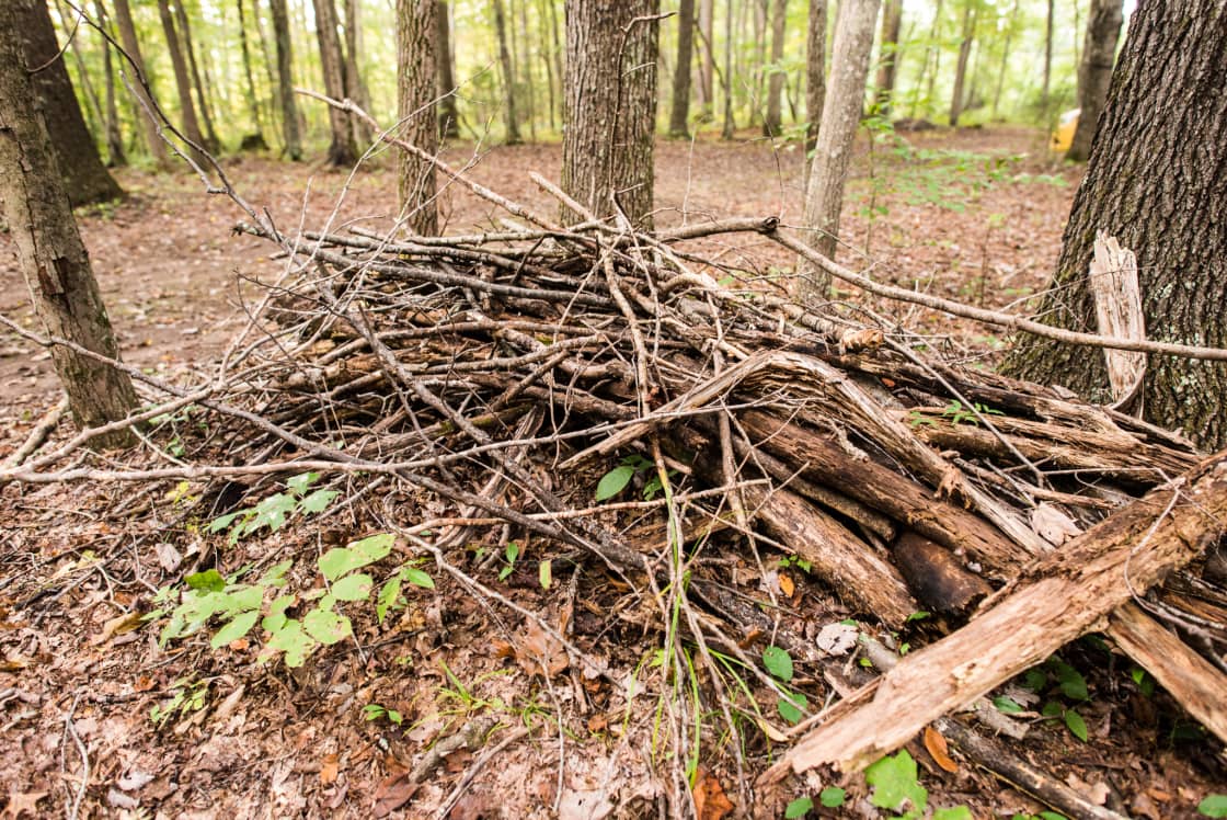 You don't have to look for to find stacks of firewood from where the sites have been cleared.