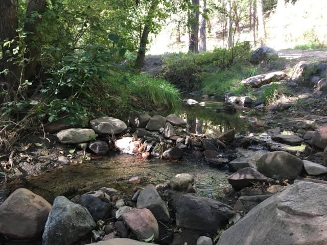 Creek flowing under 1 cfs, 9/24/2017