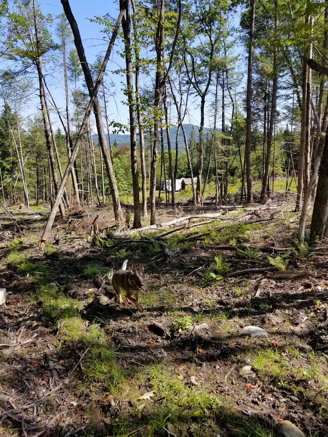 Peaceful Mountain Hipcamp in Bradford Vt, Vermont