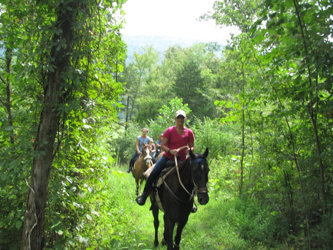 Some of the best horseback riding trails in the South, facilities available for you to bring your own horse or rent our horses.  What a great way to spend the day!!