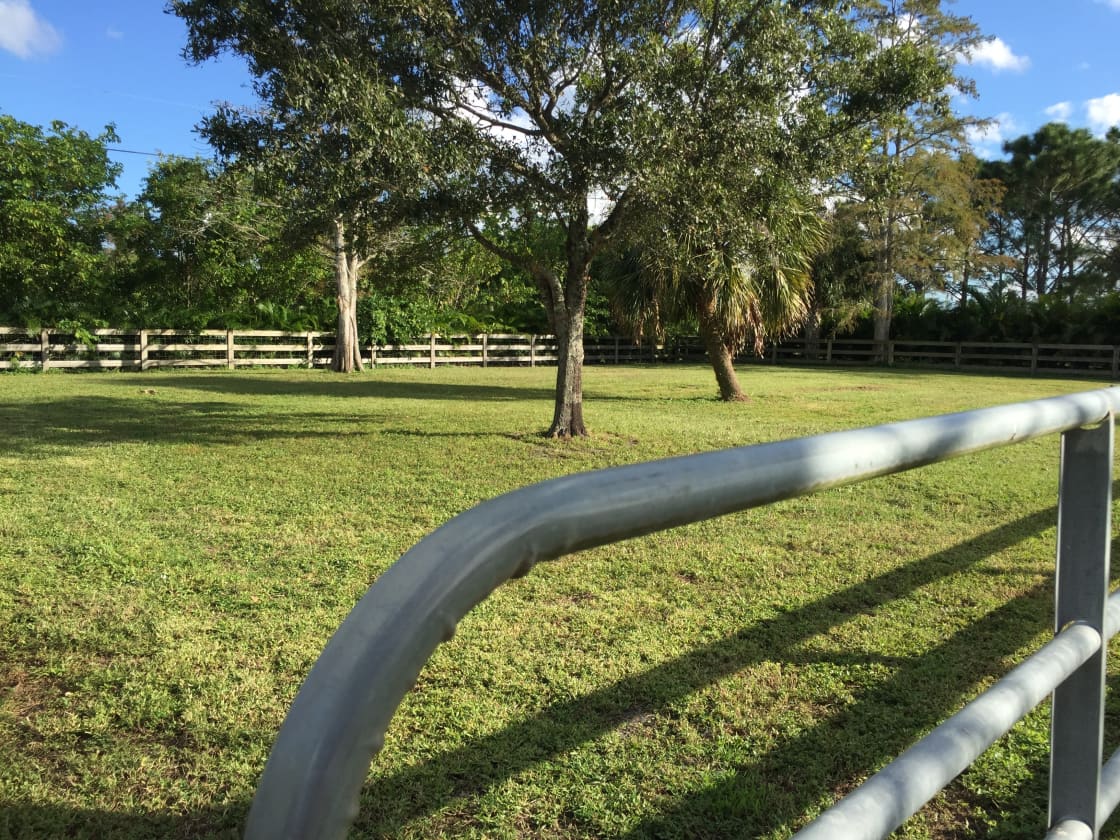 Beautiful pastures for horse turnout. 