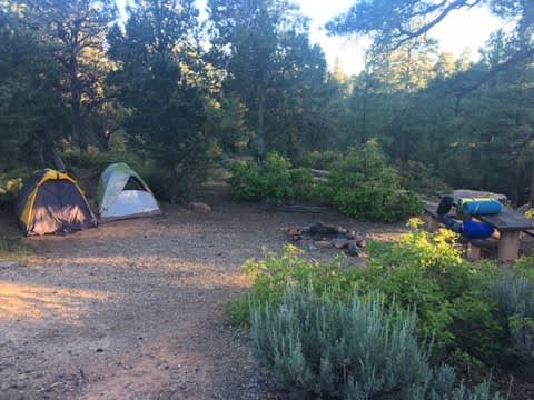 sweet little campsite for the night--complete with picnic table and fire pit! (AND potable water faucet located near extremely clean/fresh outhouse). 