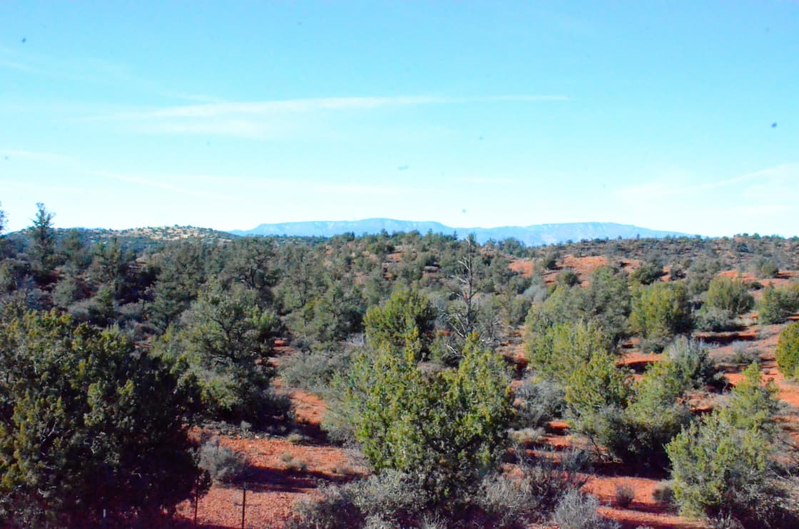 View of the Coconino National Forest, our big back yard. 